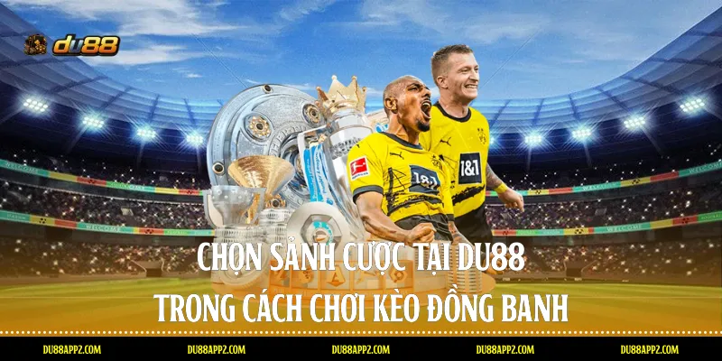 Chọn sảnh cược tại Du88 trong cách chơi Kèo đồng banh 