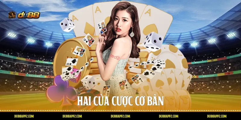 Hai của cược cơ bản
